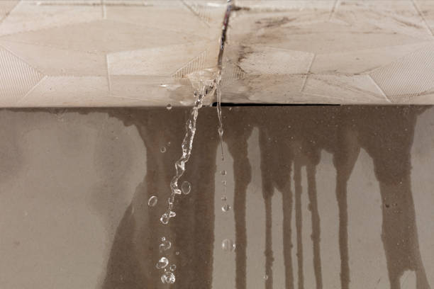 Professional Water Damage Repair technician working in Durand, IL